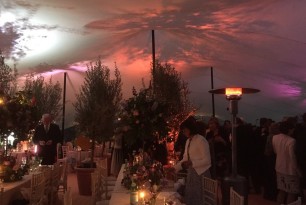 20 x 15 TM Wedding Lighting 2