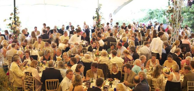 Wedding Stretch Tent Packages